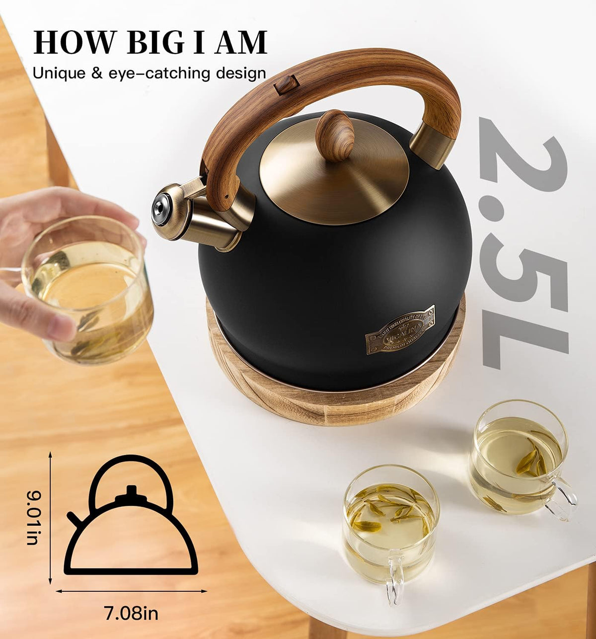Tea Kettle & Tea Pot, 2.64 Quart Food Grade Stainless Steel Induction Whistling Tea Kettle for Stove Top Home Daily Use Teapot with Cool Touch Ergonomic Handle Polished Black