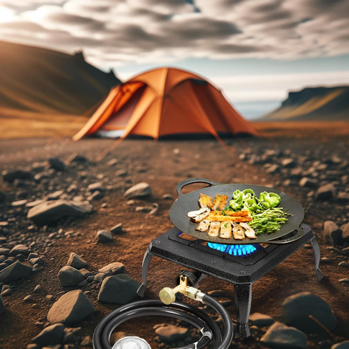 Vivicreate Single burner cast iron flame camping stove, include CSA listed regulator and gas hose (HT-C-0011)