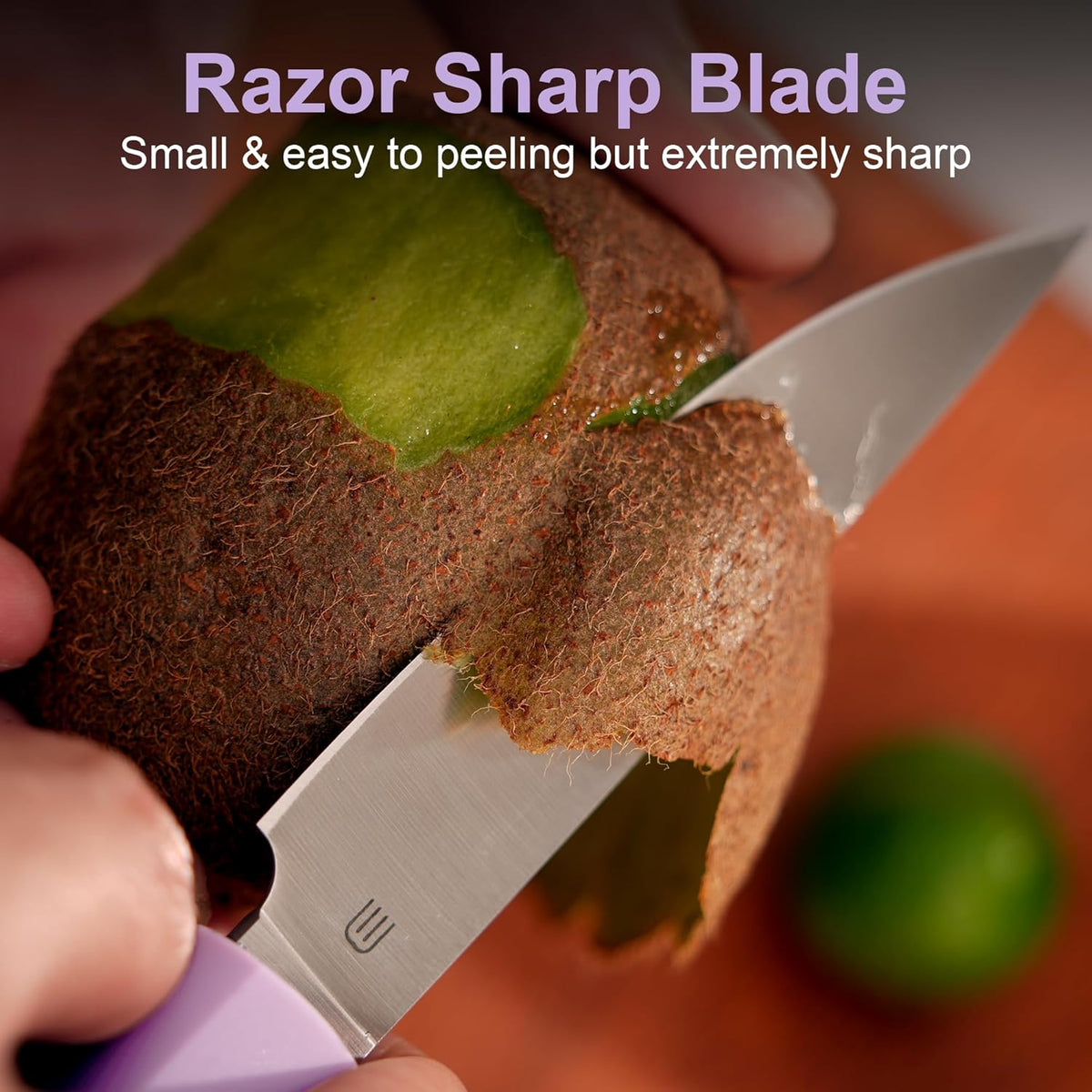 3.5 Inch Paring Knife, Small Kitchen Knife with AR-RPM9 Steel Replaceable Ergonomic Handle, Ultra Sharp Fruit Vegetable Knife for Peeling Coring Cutting